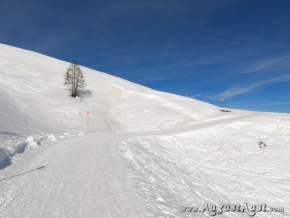Aufstieg Dobratsch. Foto: August Aust Aufstieg Dobratsch. Foto: August Aust