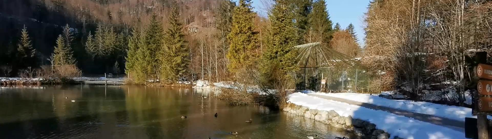 Tierpark Cumberland. Foto August Aust Tierpark Cumberland. Foto August Aust