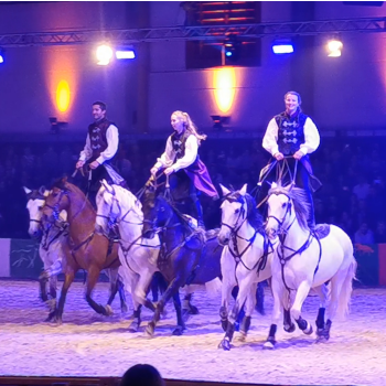 Messe Wels. Foto: August Aust Messe Wels. Foto: August Aust