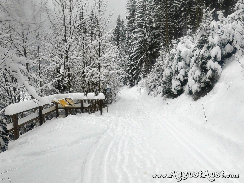 Winterwanderung Hochmoor-Leckermoos. Foto: August Aust Winterwanderung Hochmoor-Leckermoos. Foto: August Aust