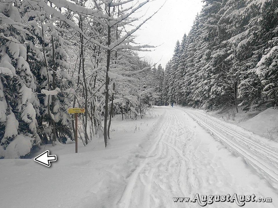 Winterwanderung Hochmoor-Leckermoos. Foto: August Aust Winterwanderung Hochmoor-Leckermoos. Foto: August Aust