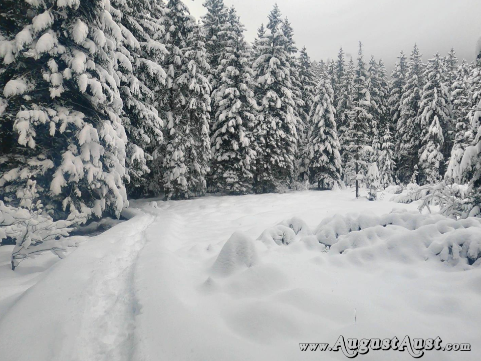 Winterwanderung Hochmoor-Leckermoos. Foto: August Aust