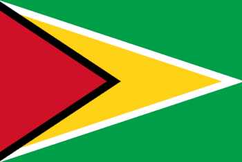 Flagge Guyana Flagge Guyana