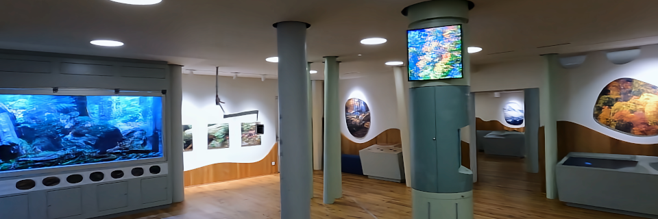 Haus der Wildnis. Foto: August Aust Haus der Wildnis. Foto: August Aust