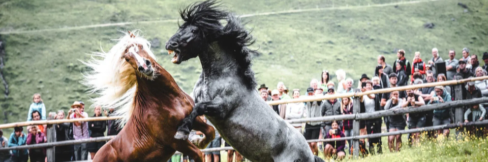 Veranstaltungen und Events 2024. Veranstaltungen und Events 2024.