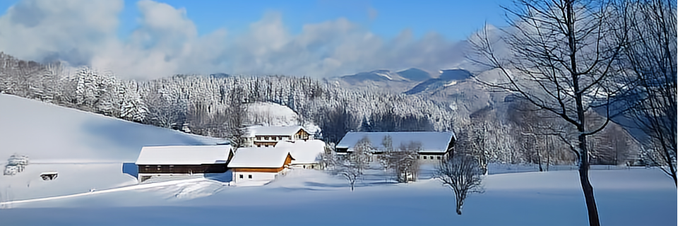 Bauernhof Köhr in Göstling an der Ybbs Bauernhof Köhr in Göstling an der Ybbs