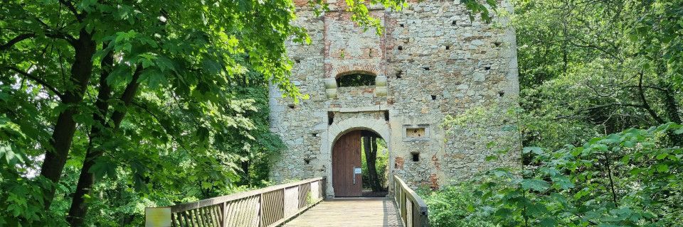 Burgruine Landsee. Foto: August Aust Burgruine Landsee. Foto: August Aust