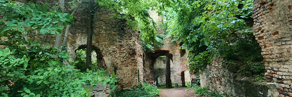 Burgruine Landsee. Foto: August Aust Burgruine Landsee. Foto: August Aust