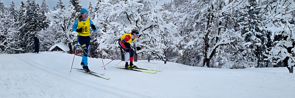NÖ Langlauf Landescup. . Foto: August Aust NÖ Langlauf Landescup. . Foto: August Aust