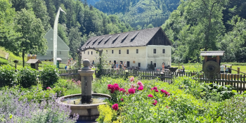 Video Themenweg. Foto: August Aust Video Schautriften Mendlingtal. Foto: August Aust