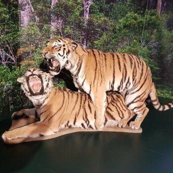 Ausstellung. SEXperten - Flotte Bienen, tolle Hechte Ausstellung. SEXperten - Flotte Bienen, tolle Hechte