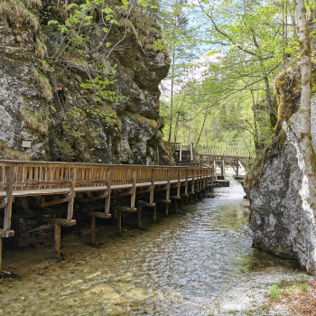 Erlebniswelt Mendlingtal. Foto: August Aust Erlebniswelt Mendlingtal. Foto: August Aust