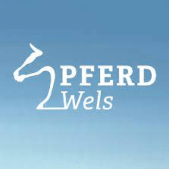 Veranstaltung. Pferd Wels Veranstaltung. Pferd Wels