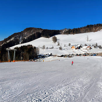 Skigebiet Maiszinken Lifte, Lunz am See. Foto: August Aust Skigebiet Maiszinken Lifte, Lunz am See. Foto: August Aust