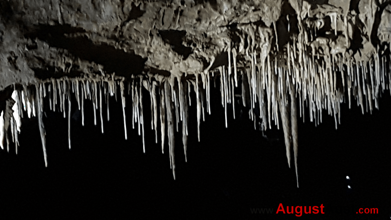 Lurgrotte Semriach Stalaktiten - Foto: August Aust