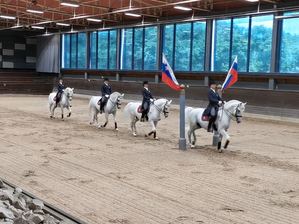 Lipizzanergestüt Lipica. Foto: August Aust Lipizzanergestüt Lipica. Foto: August Aust