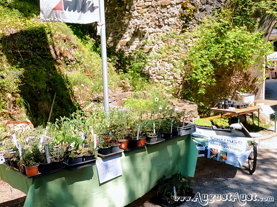 Marktgarten, Gartenarbeit. Veronika Hörhan (Krautgartl)