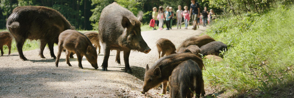 Naturpark Sparbach Naturpark Sparbach