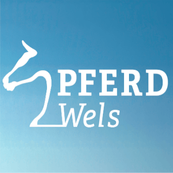 Messegelände Wels. Pferd Wels Messegelände Wels. Pferd Wels