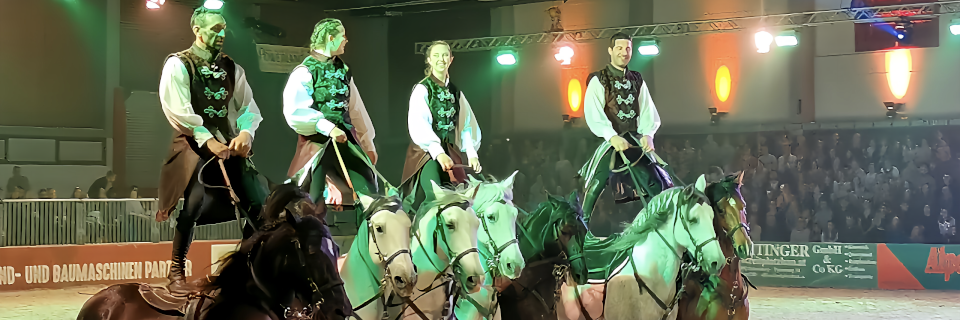 Messe Pferd Wels. Foto: August Aust Messe Pferd Wels. Foto: August Aust