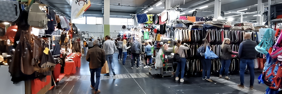 Pferd Wels 2022. Foto: August Aust Pferd Wels 2022. Foto: August Aust