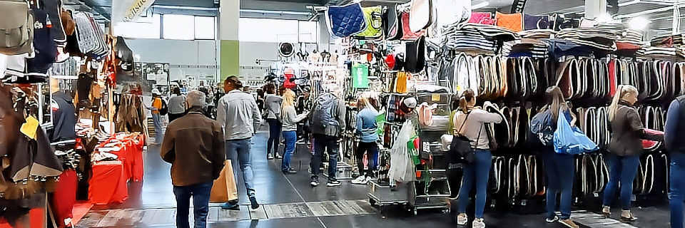 Pferd Wels Pferd Wels