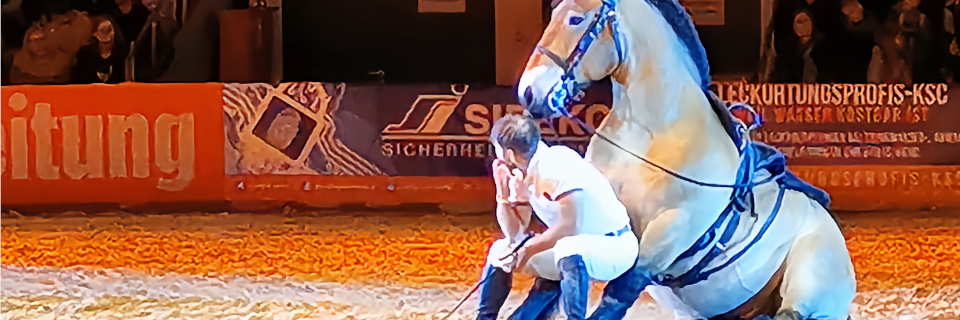 Pferde Wels. Nacht der Pferde. Pferde Wels. Nacht der Pferde.