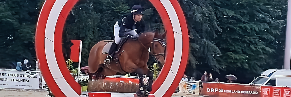 Pferd Wels Reit- und  Fahrturniere  Pferd Wels Reit- und  Fahrturniere