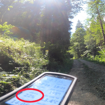 Radtour Göstling - Kitzhütte. Foto: August Aust Radtour Göstling - Kitzhütte. Foto: August Aust