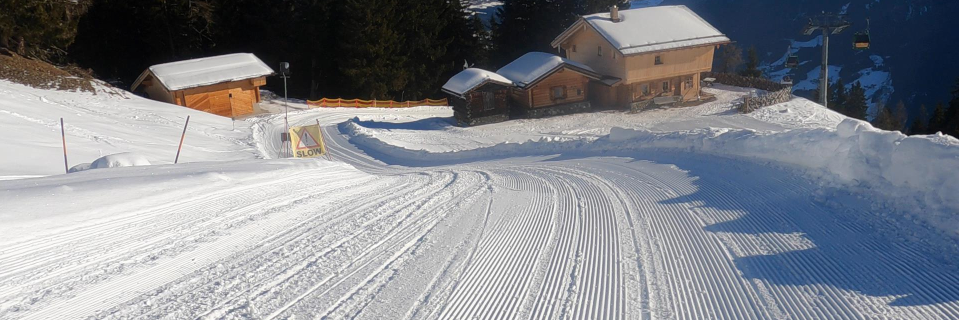 Rodeln auf der längsten Rodelbahn. Foto: August Aust Rodeln auf der längsten Rodelbahn. Foto: August Aust