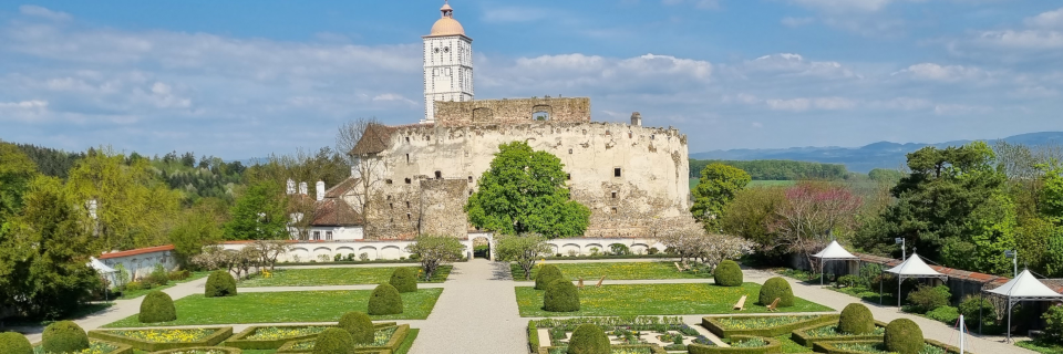 Neue Publikationen. Foto: August Aust Neue Publikationen. Foto: August Aust