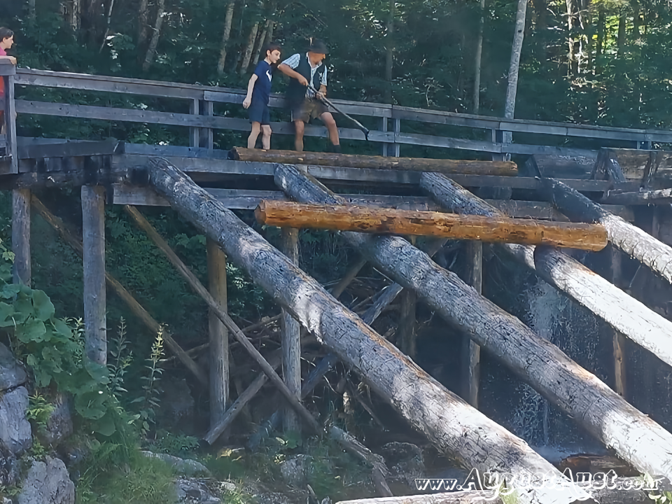 Schautriften, Erlebniswelt Mendlingtal. Foto: August Aust Schautriften, Erlebniswelt Mendlingtal. Foto: August Aust