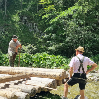 Schautriften 2024 im Mendlingtal. Foto: August Aust Schautriften 2024 im Mendlingtal. Foto: August Aust