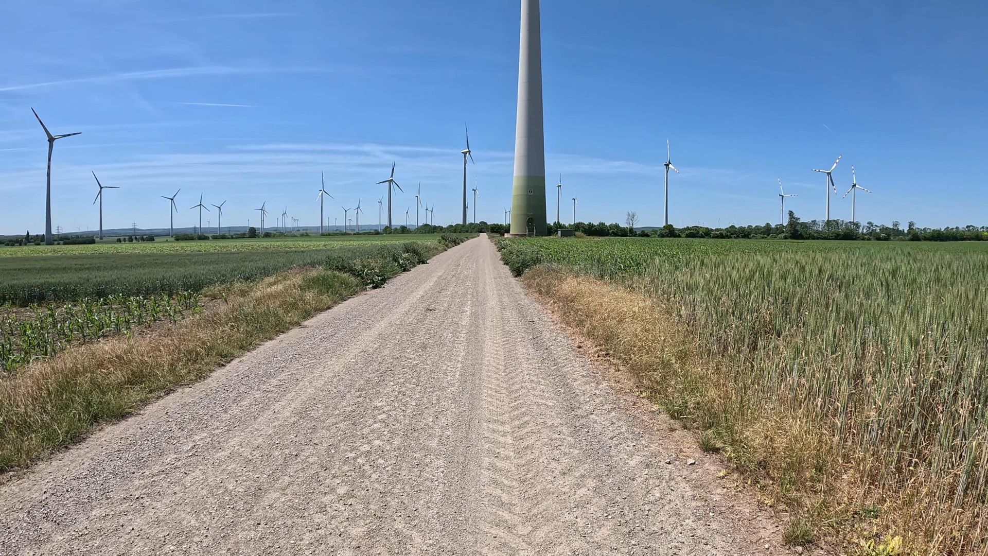 5. Etappe: Orth an der Donau - Bruck an der Leitha - Purbach am Neusiedlersee 5. Etappe: Orth an der Donau - Bruck an der Leitha - Purbach am Neusiedlersee