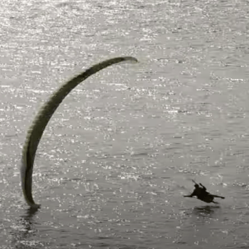 Video Paragliding. Something Between Video Paragliding. Something Between
