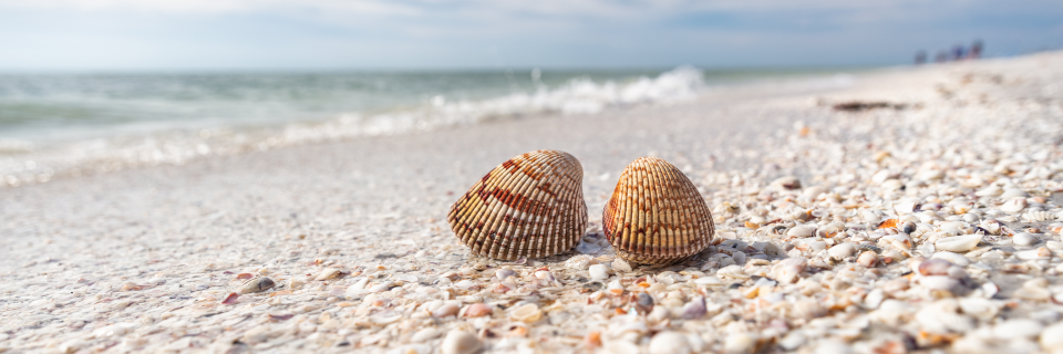 Sprüche & Zitate zum Nachdenken Sprüche & Zitate zum Nachdenken