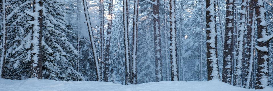 Sprüche & Zitate zum Nachdenken Sprüche & Zitate zum Nachdenken