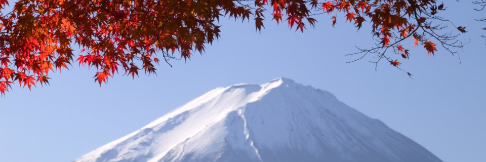 Sprüche & Zitate zum Nachdenken Sprüche & Zitate zum Nachdenken