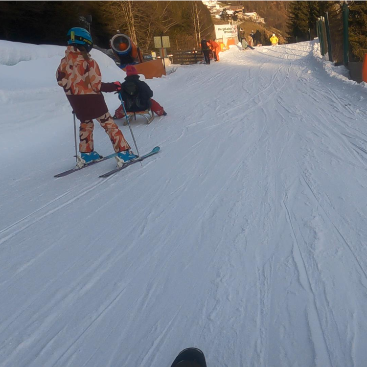 Rodler und Skifahrer auf der Rodelpiste. Foto: August Aust Rodler und Skifahrer auf der Rodelpiste. Foto: August Aust