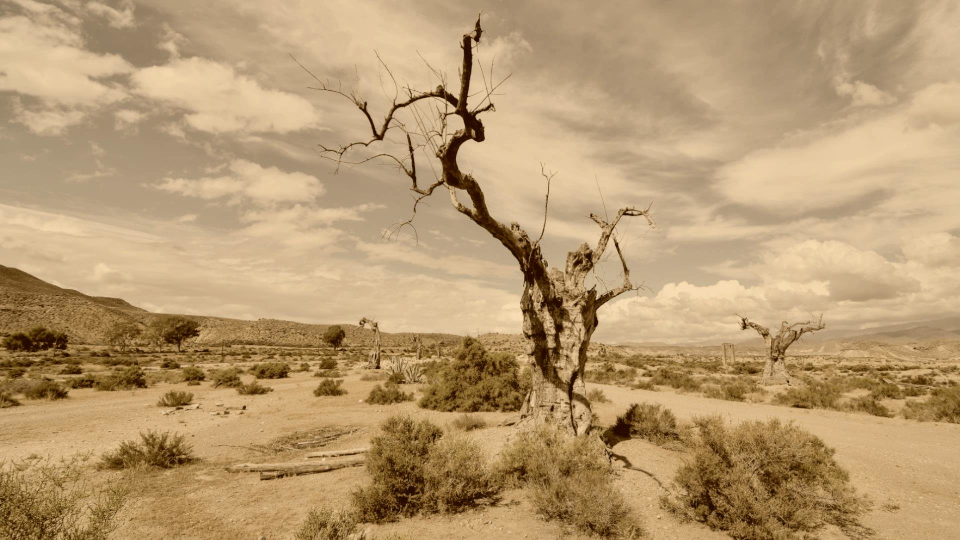Parque Natural del Cabo de Gata-Níjar Parque Natural del Cabo de Gata-Níjar