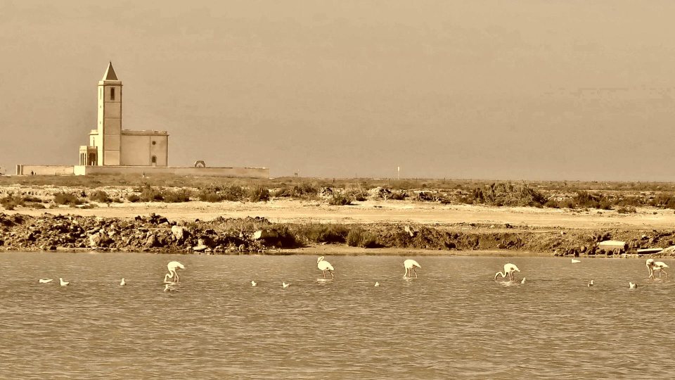 Salinas bei Cabo de Gata mit Flamingos Salinas bei Cabo de Gata mit Flamingos
