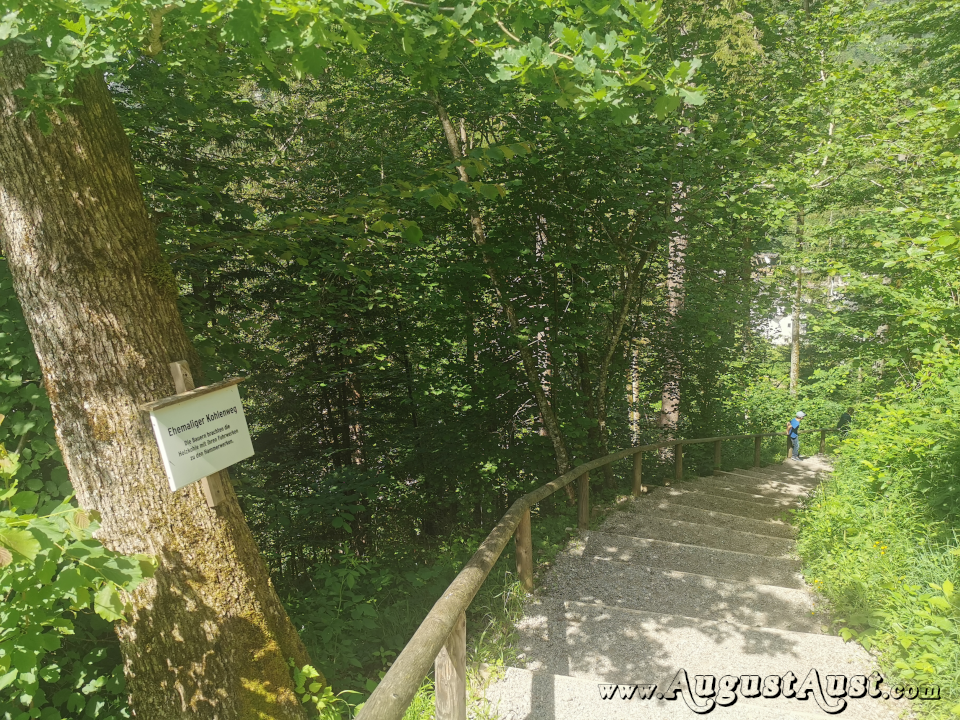 Kohleweg Mendlingtal. Foto: August Aust Kohleweg Mendlingtal. Foto: August Aust