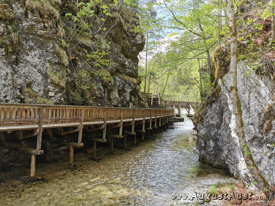 Holztriftanlage Mendlingtal, Lassing. Foto: August Aust Holztriftanlage Mendlingtal, Lassing. Foto: August Aust