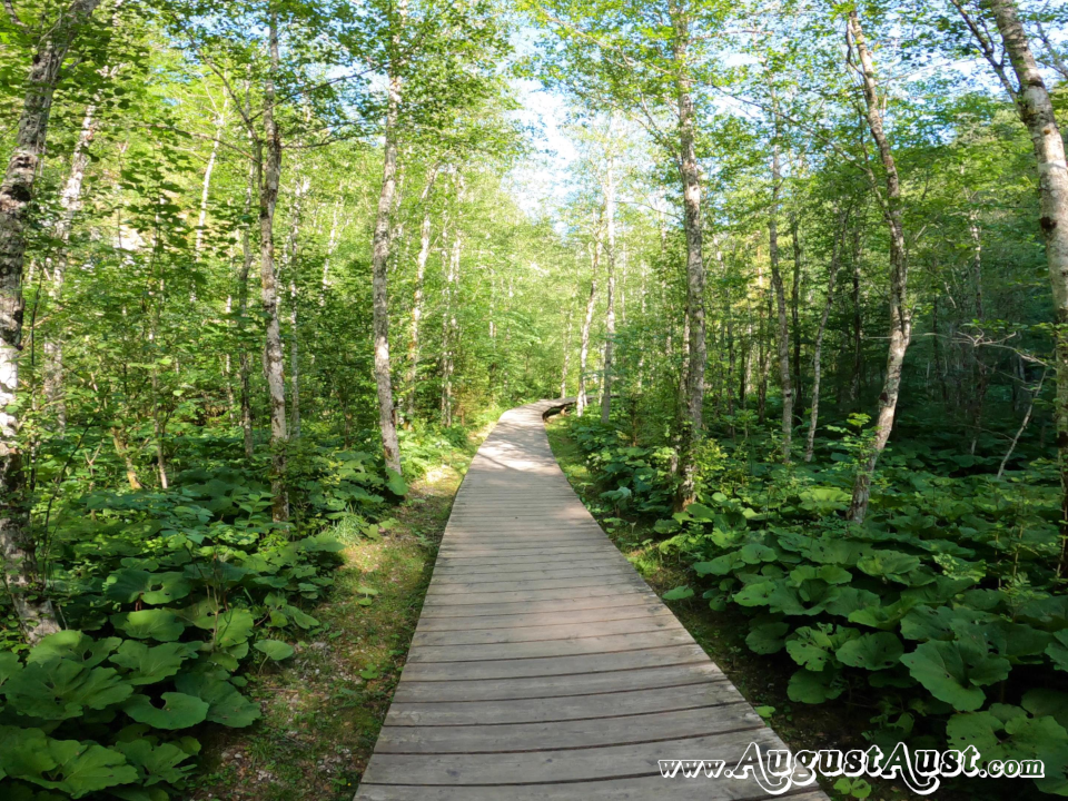 Themenweg Mendlingtal, Lassing. Foto: August Aust Themenweg Mendlingtal, Lassing. Foto: August Aust