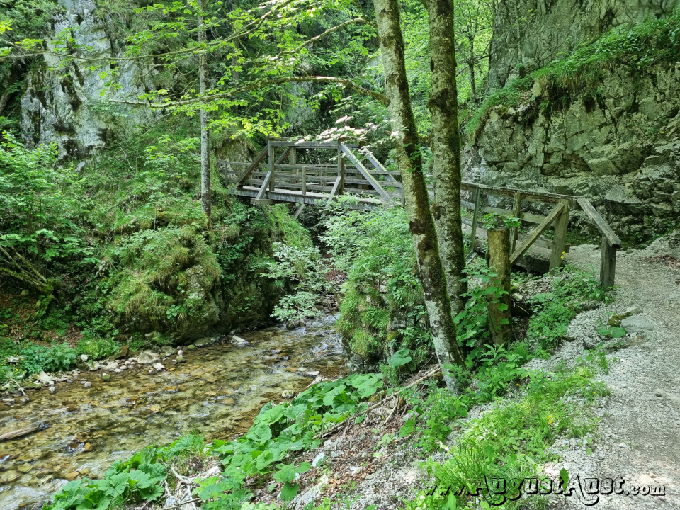 Themenweg Mendlingtal, Lassing. Foto: August Aust Themenweg Mendlingtal, Lassing. Foto: August Aust