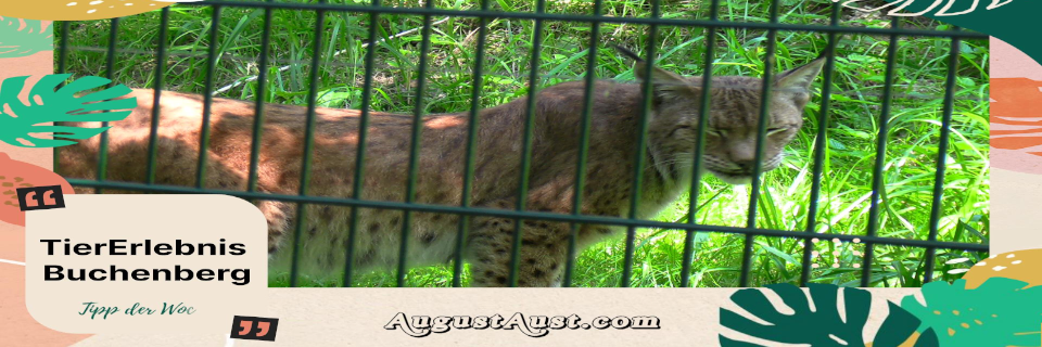 TierErlebnis Buchenberg in Waidhofen an der Ybbs. Foto: August Aust TierErlebnis Buchenberg in Waidhofen an der Ybbs. Foto: August Aust