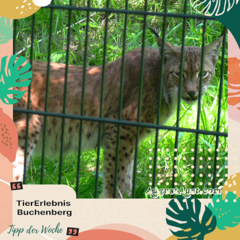 TierErlebnis Buchenberg. Foto: August Aust TierErlebnis Buchenberg. Foto: August Aust