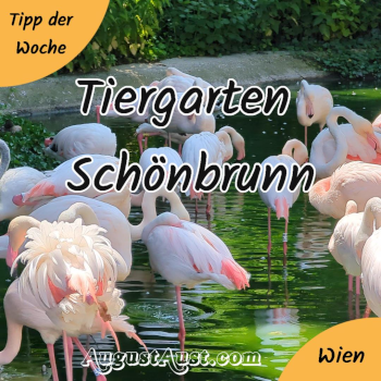 Tiergarten Schönbrunn. Foto: August Aust Tiergarten Schönbrunn. Foto: August Aust