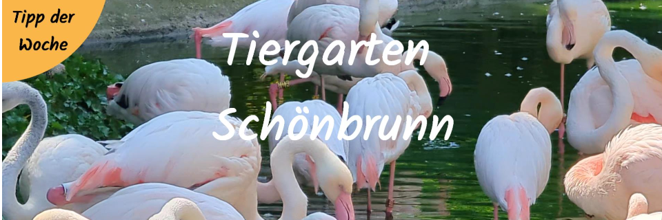 Tiergarten Schönbrunn. Foto: August Aust Tiergarten Schönbrunn. Foto: August Aust
