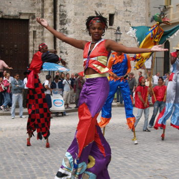 Rundweg Almsee. Foto: August Aust Rundweg Almsee. Foto: August Aust